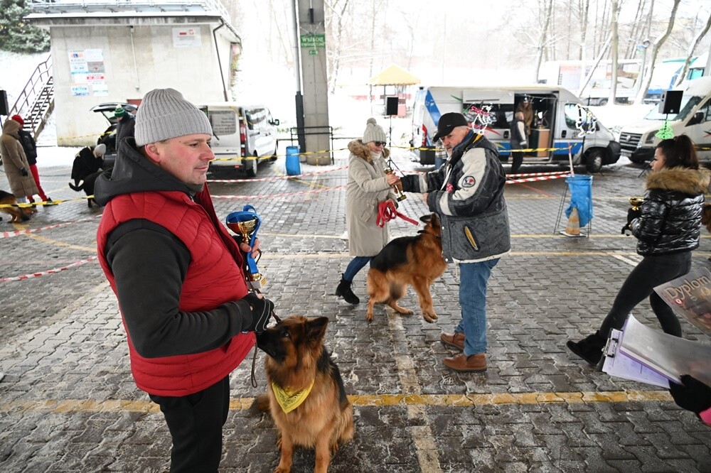 Na Terenach Targowych w Wirku odbyła się w niedzielę V Mikołajkowa Wystawa Owczarków Niemieckich. Pokazom psów towarzyszyła zbiórka prezentów świątecznych dla dzieci z placówek opiekuńczo-wychowawczych w Rudzie Śląskiej.

fot. UM Ruda Śląska