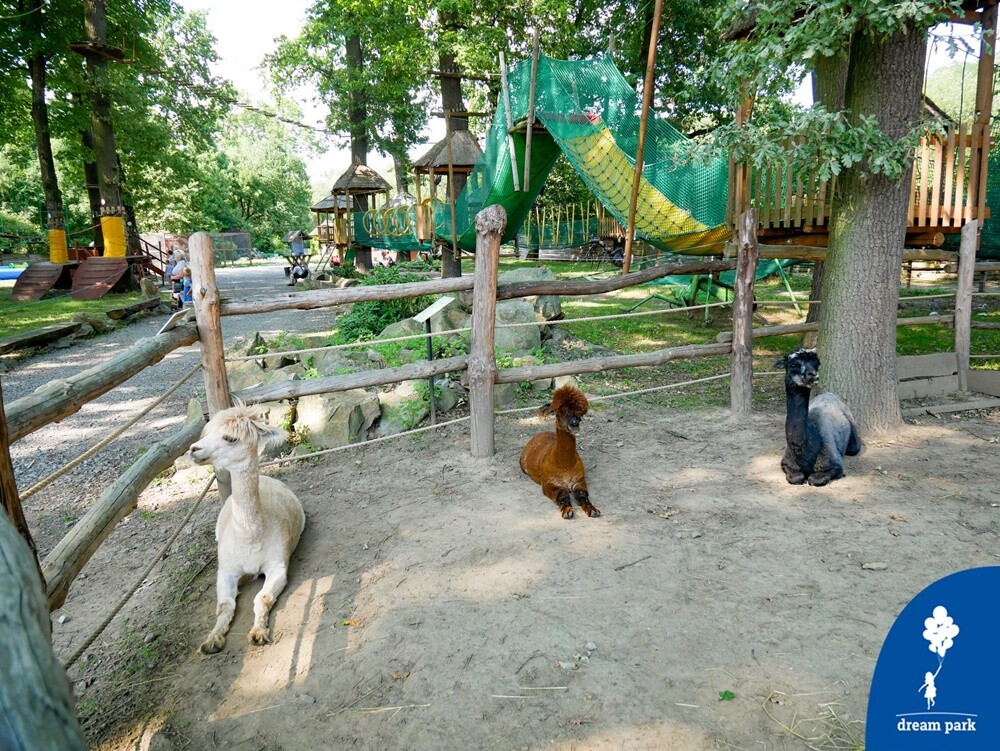 10 najciekawszych miejsc, które warto odwiedzić z dziećmi - Dreampark.