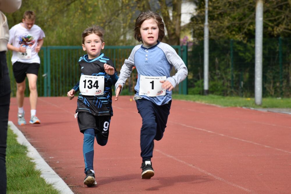 2. Bieg Wiewiórki 2024/fot. Jacek Knapik