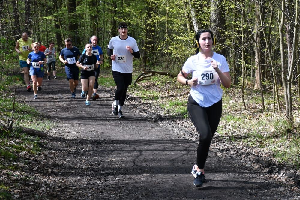 2. Bieg Wiewiórki 2024/fot. Jacek Knapik