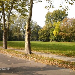 Zespół mieszkaniowy "Platany"