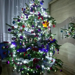 Czar świątecznego drzewka