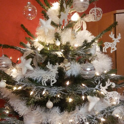 Czar świątecznego drzewka