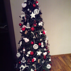 Czar świątecznego drzewka