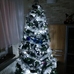 Czar świątecznego drzewka