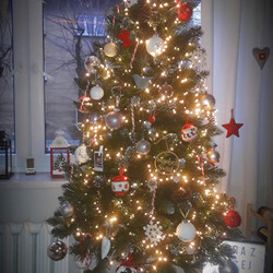 Czar świątecznego drzewka