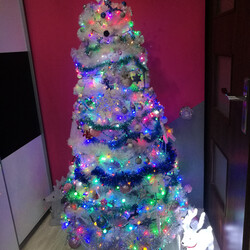 Czar świątecznego drzewka