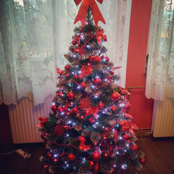 Czar świątecznego drzewka