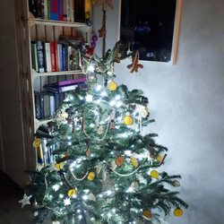 Czar świątecznego drzewka