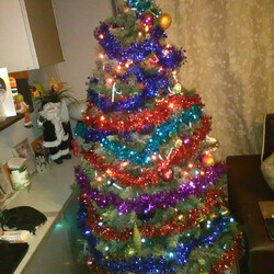 Czar świątecznego drzewka