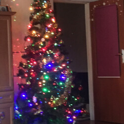 Czar świątecznego drzewka