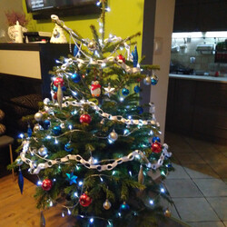 Czar świątecznego drzewka