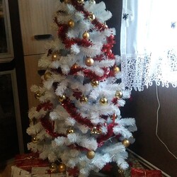 Czar świątecznego drzewka