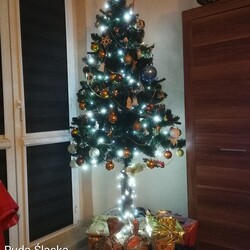 Czar świątecznego drzewka