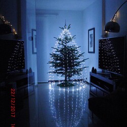 Czar świątecznego drzewka