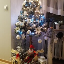 Czar świątecznego drzewka