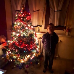 Czar świątecznego drzewka