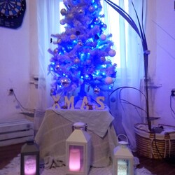 Czar świątecznego drzewka