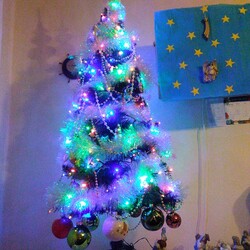 Czar świątecznego drzewka