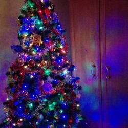 Czar świątecznego drzewka