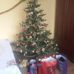 Czar świątecznego drzewka