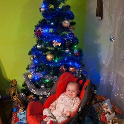 Czar świątecznego drzewka