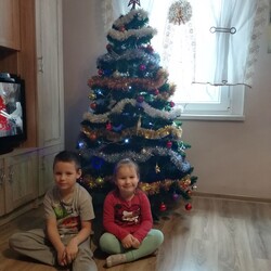 Czar świątecznego drzewka