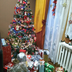 Czar świątecznego drzewka