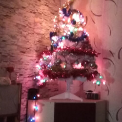 Czar świątecznego drzewka