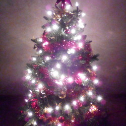 Czar świątecznego drzewka