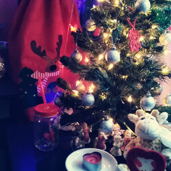 Czar świątecznego drzewka