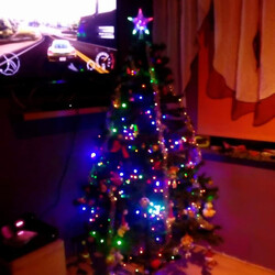 Czar świątecznego drzewka