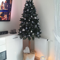 Czar świątecznego drzewka