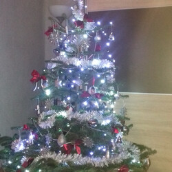 Czar świątecznego drzewka