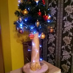 Czar świątecznego drzewka