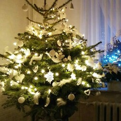 Czar świątecznego drzewka