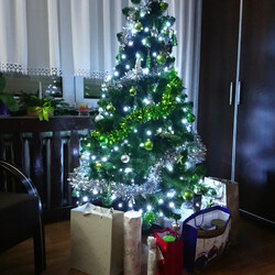 Czar świątecznego drzewka