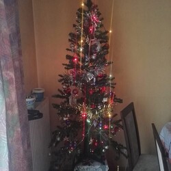 Czar świątecznego drzewka