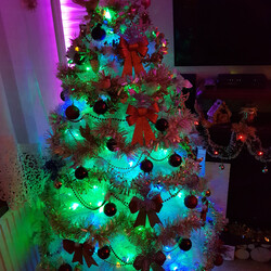 Czar świątecznego drzewka