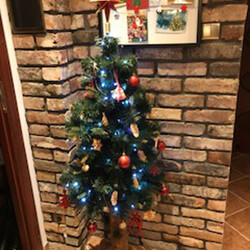 Czar świątecznego drzewka