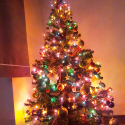 Czar świątecznego drzewka