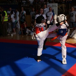 IV Puchar Śląska Dzieci i Młodzieży Karate Kyokushin