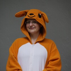 XI Festyn Rodzin Zastępczych