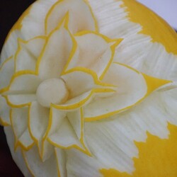 XI Festyn Rodzin Zastępczych