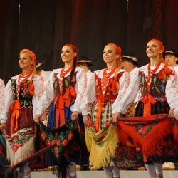 ZPiT Śląsk na rynku