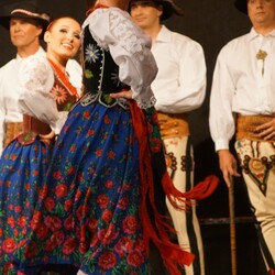 ZPiT Śląsk na rynku