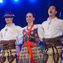 ZPiT Śląsk na rynku