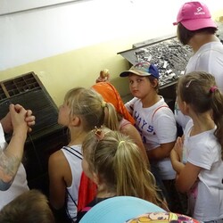 Zaczarowane Podwórka