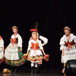Polska Eire Festival