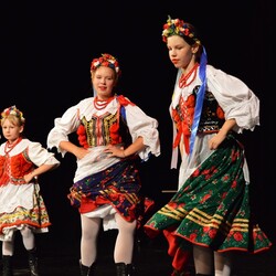 Polska Eire Festival